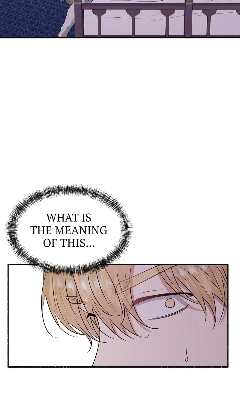 49862485 800 1333 56154